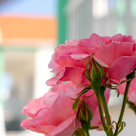 Menta Apartmanhotel Szkála Potamiász