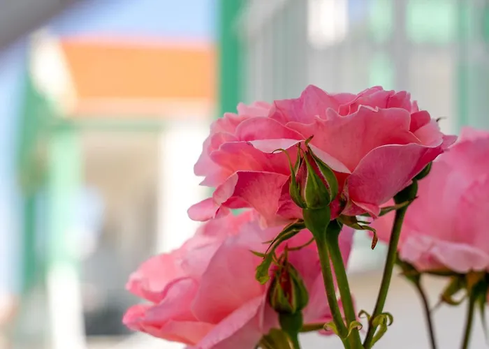 Menta Appart hôtel Skala Potamia (Thasos)